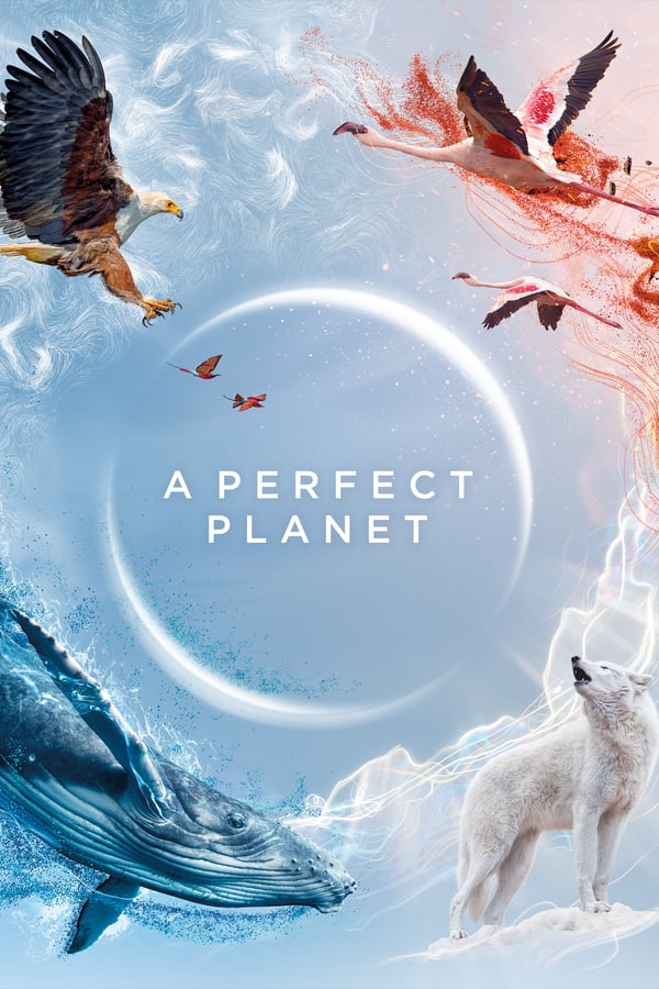 24/7: A Perfect Planet