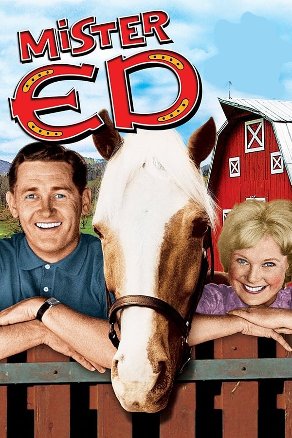 24/7: Mister Ed